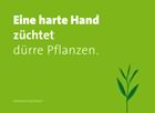 WeisheitenEine harte Hand...